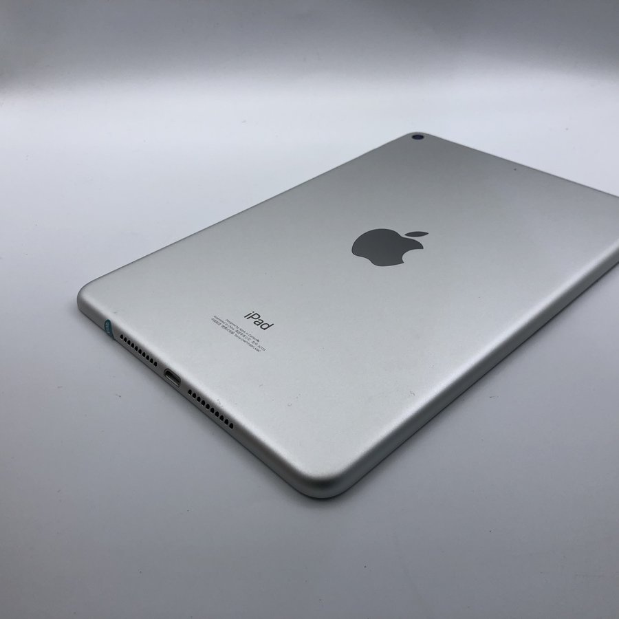 苹果【ipad mini5 7.9英寸(19款)】wifi版 银色 256g