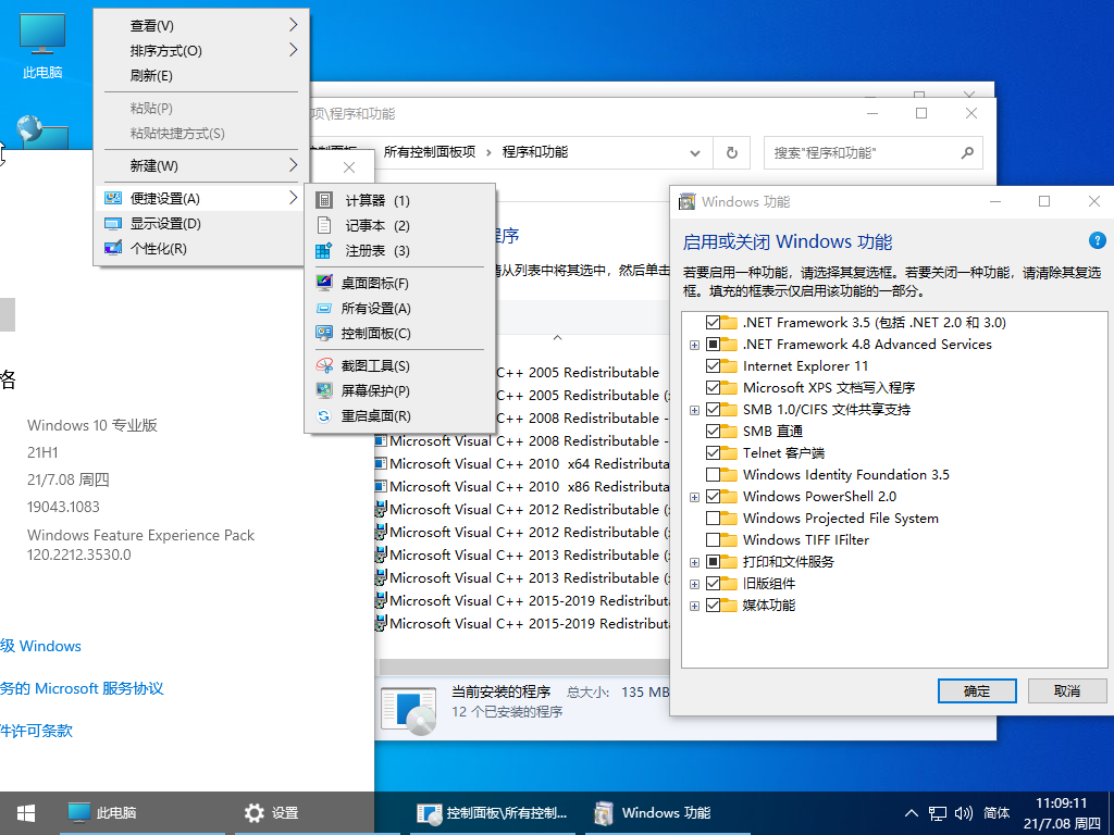 小修 Windows 10 21H1 Pro 19043.1083 太阳谷图标 精简优化六合一版