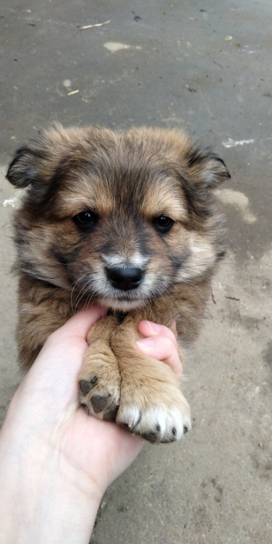 n6p换小米note3值不值得换 人家买的早 但是带