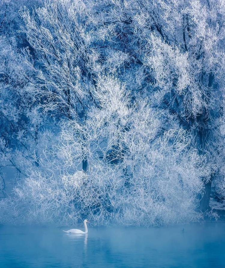 五彩缤纷的美丽冬天——月影白