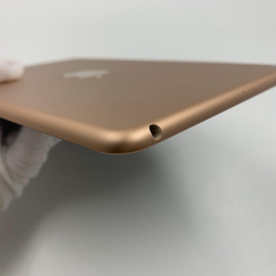 苹果【ipad mini5 7.