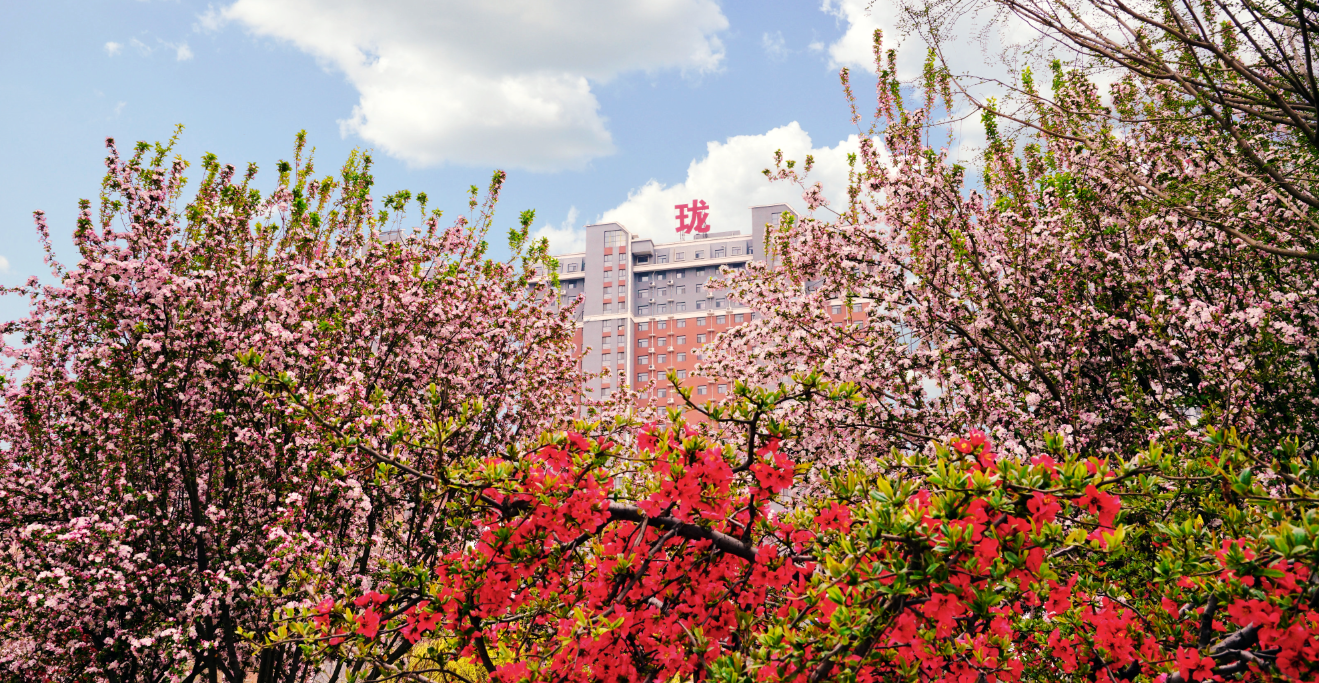 360社区