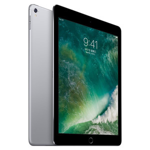 苹果【iPad Pro12.9英寸 17款】95新 