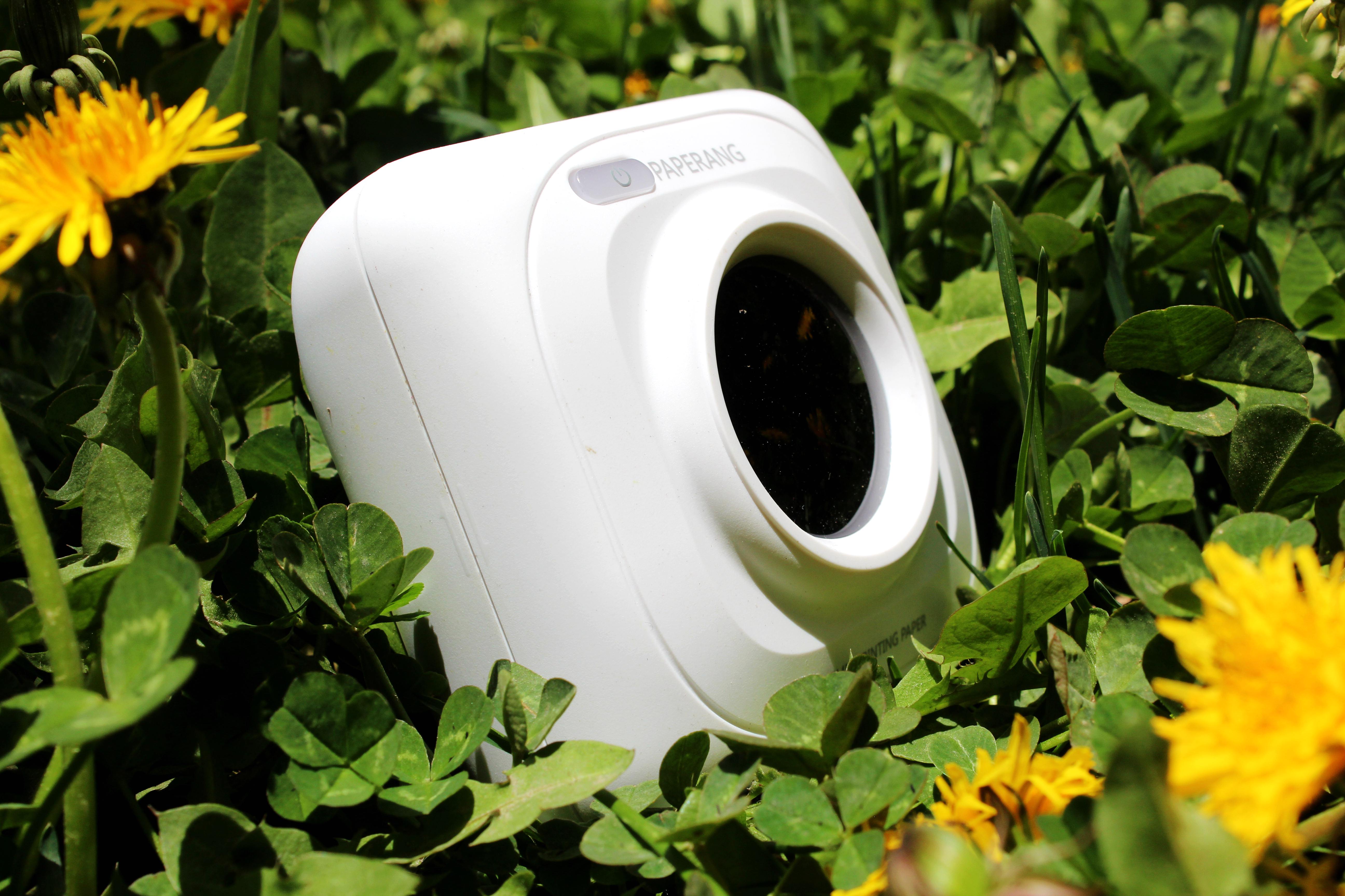 爱上我的喵喵机让打印更有趣