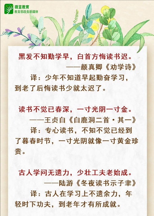 IMG_20190706_024833.jpg