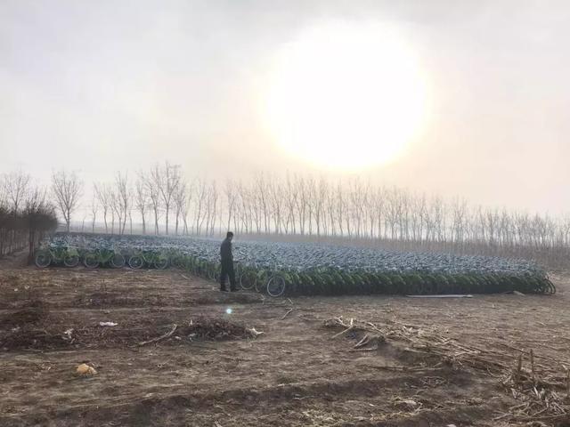 360社区