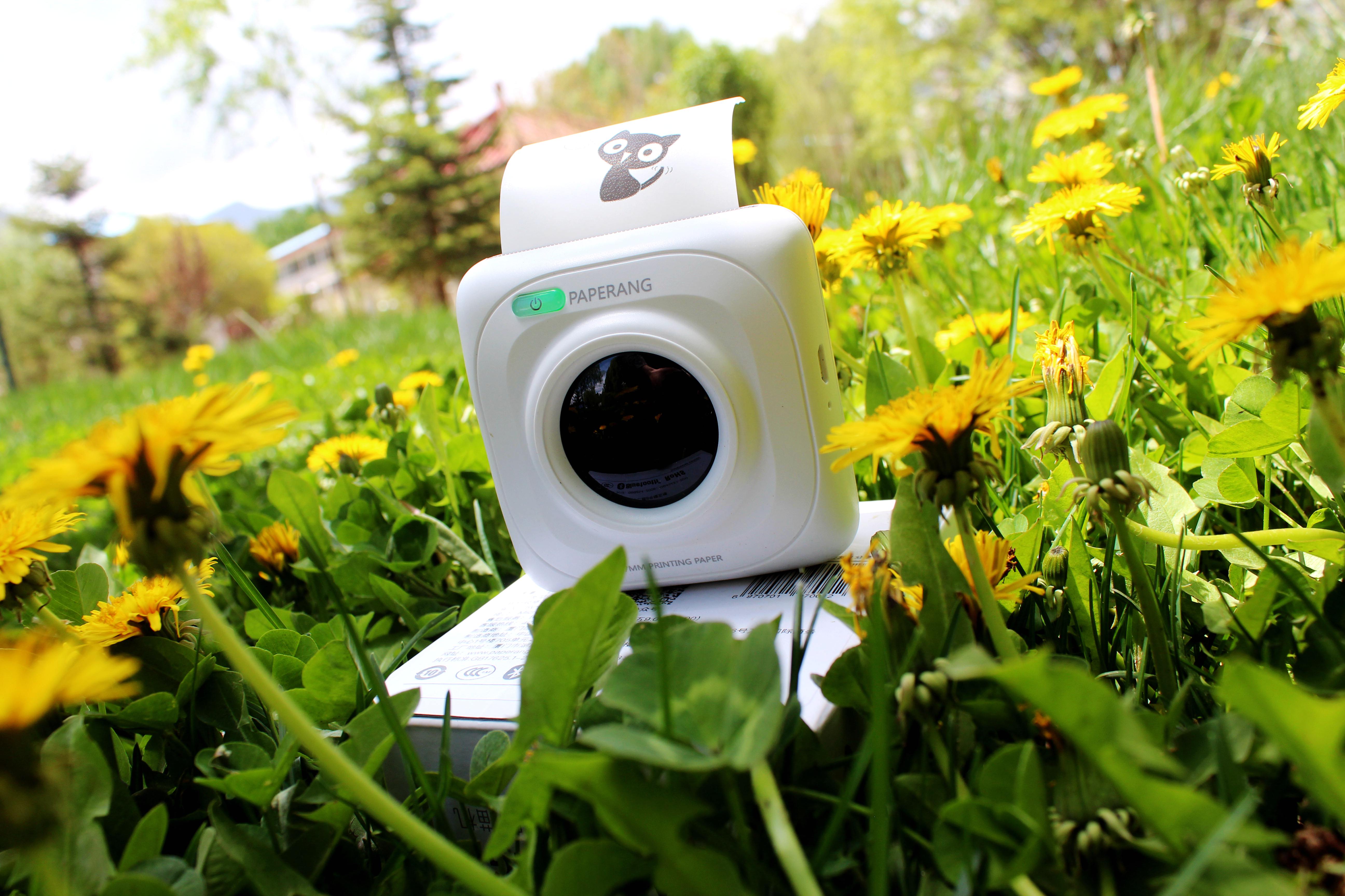 爱上我的喵喵机让打印更有趣