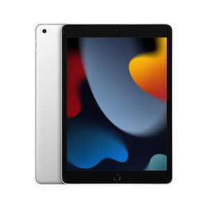 iPad平板【iPad9 21款 10.2英寸】256G 95新  WIFI版 国行 银色