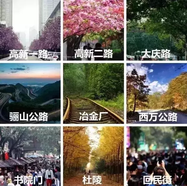 360社区