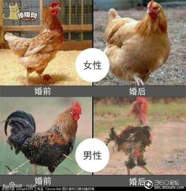 婚前婚后男女对比图