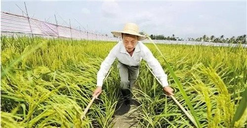 360社区