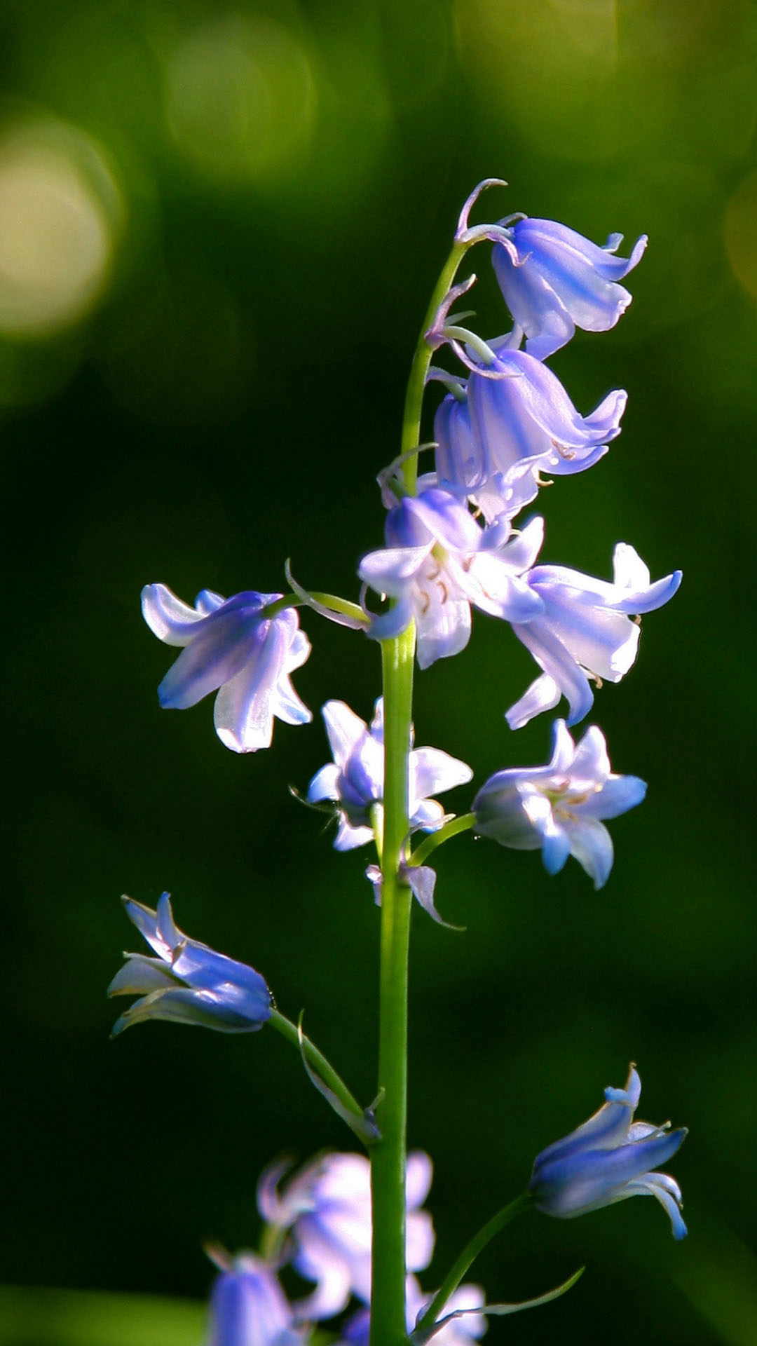 精美杂志锁屏壁纸