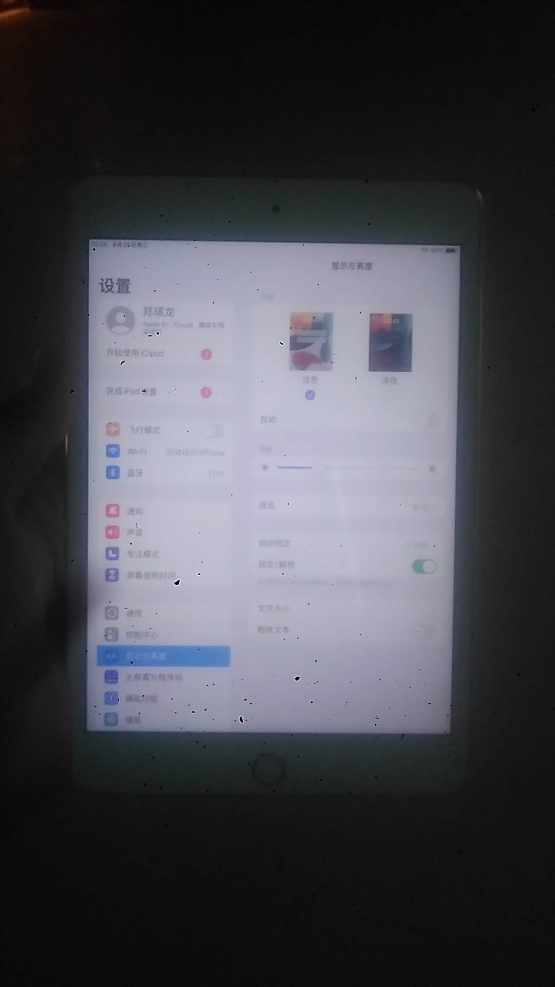 苹果【iPad mini 4】WIFI版 金色 128G 国际版 95新 