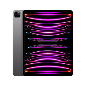 苹果【iPad Pro 12.9英寸 22款】8成新 