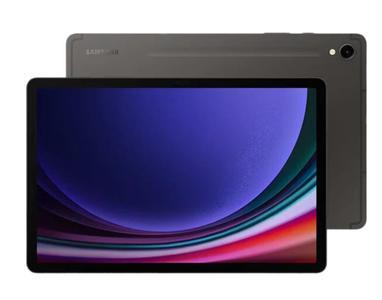 三星【三星 Galaxy Tab S9】WIFI版 云影灰 12G/256G 国行 95新 