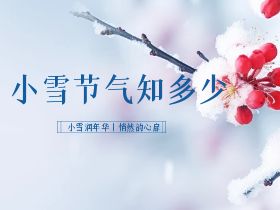 【小雪】小雪润年华，悄然韵心扉